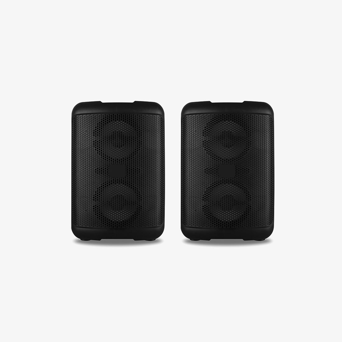 Dual Woofer Sound System