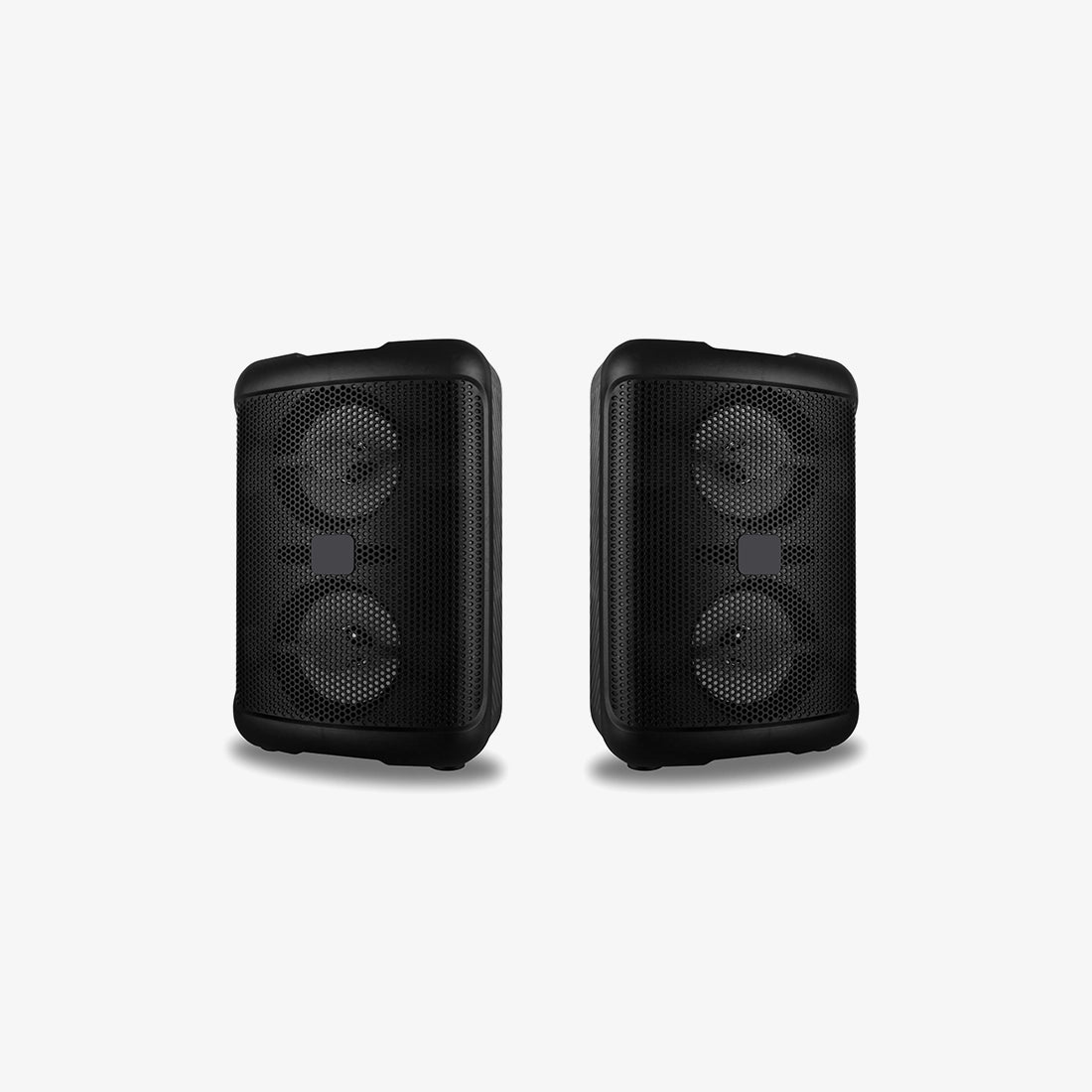 Dual Woofer Sound System