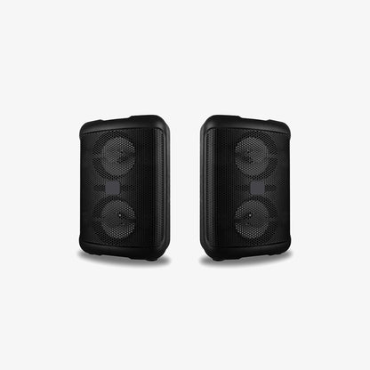 Dual Woofer Sound System
