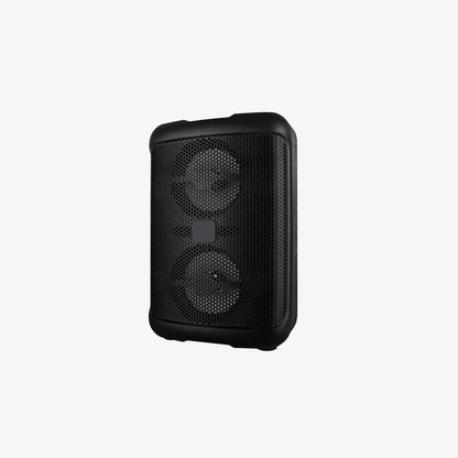 Dual Woofer Sound System