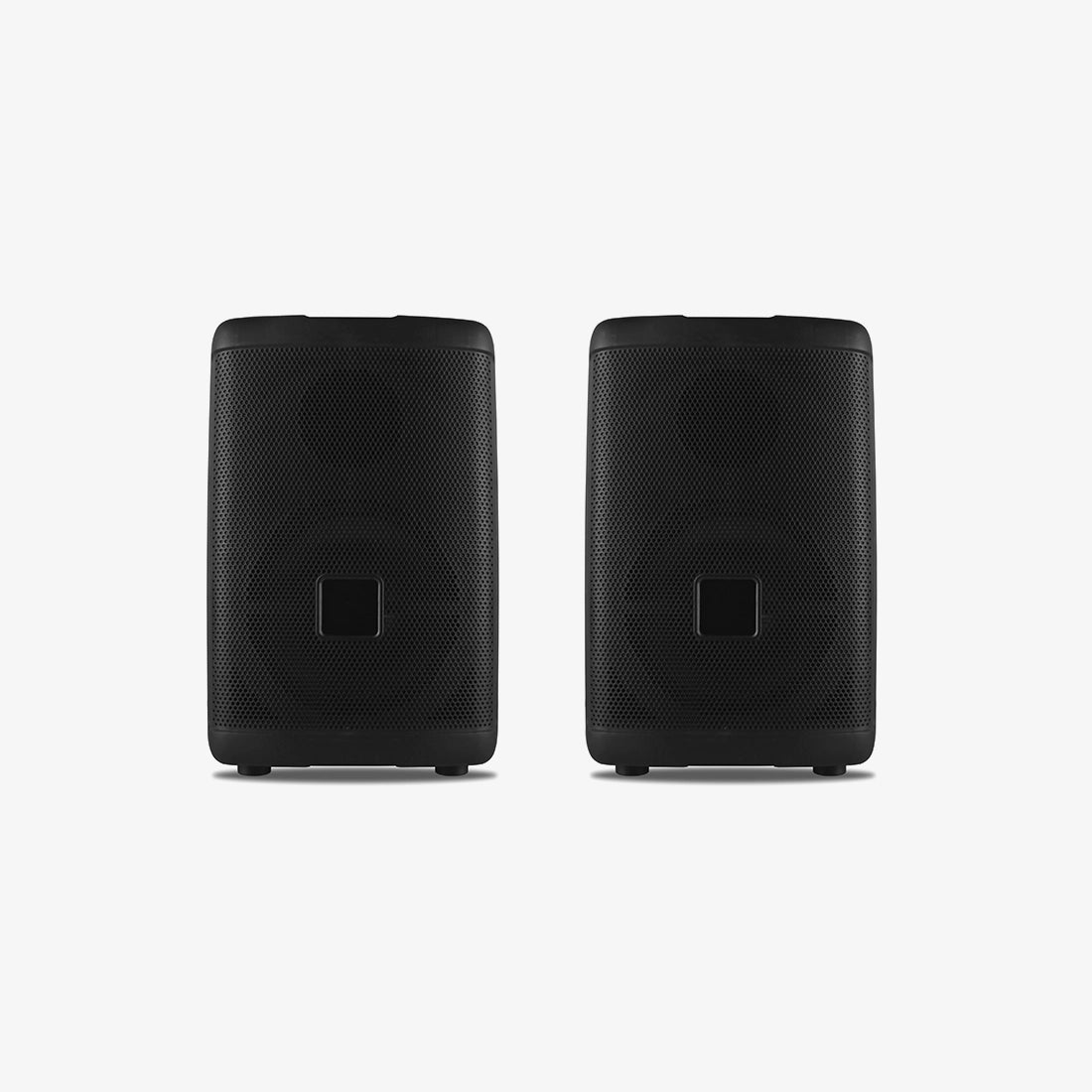 Dual Woofer Sound System
