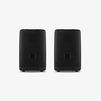 Dual Woofer Sound System