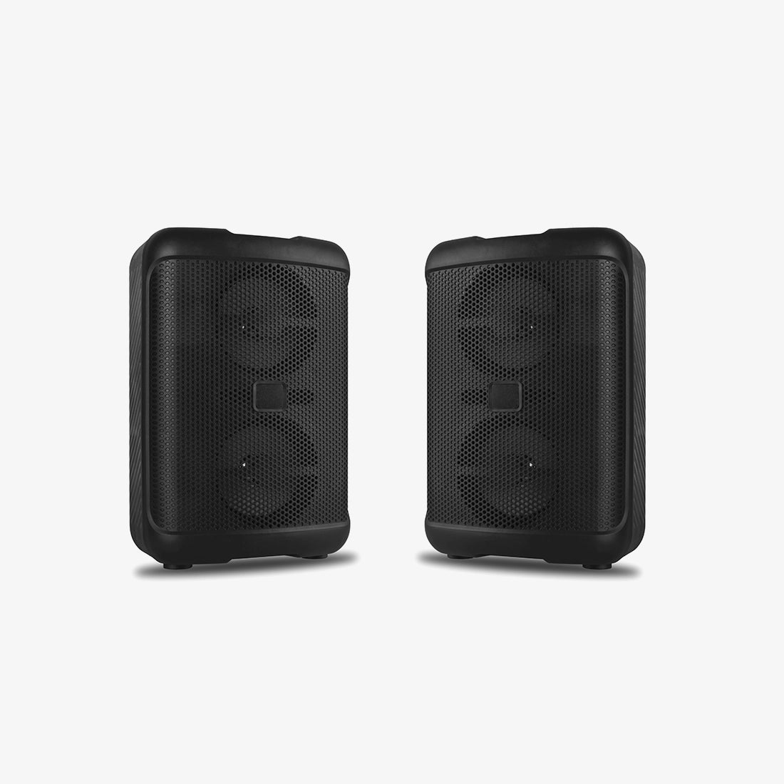 Dual Woofer Sound System
