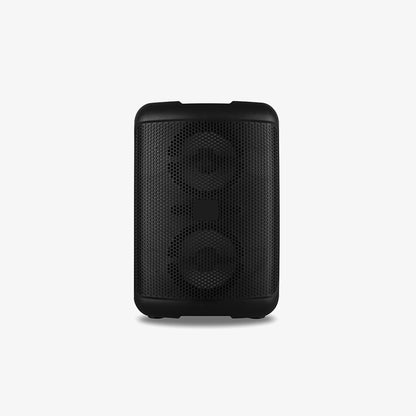 Dual Woofer Sound System